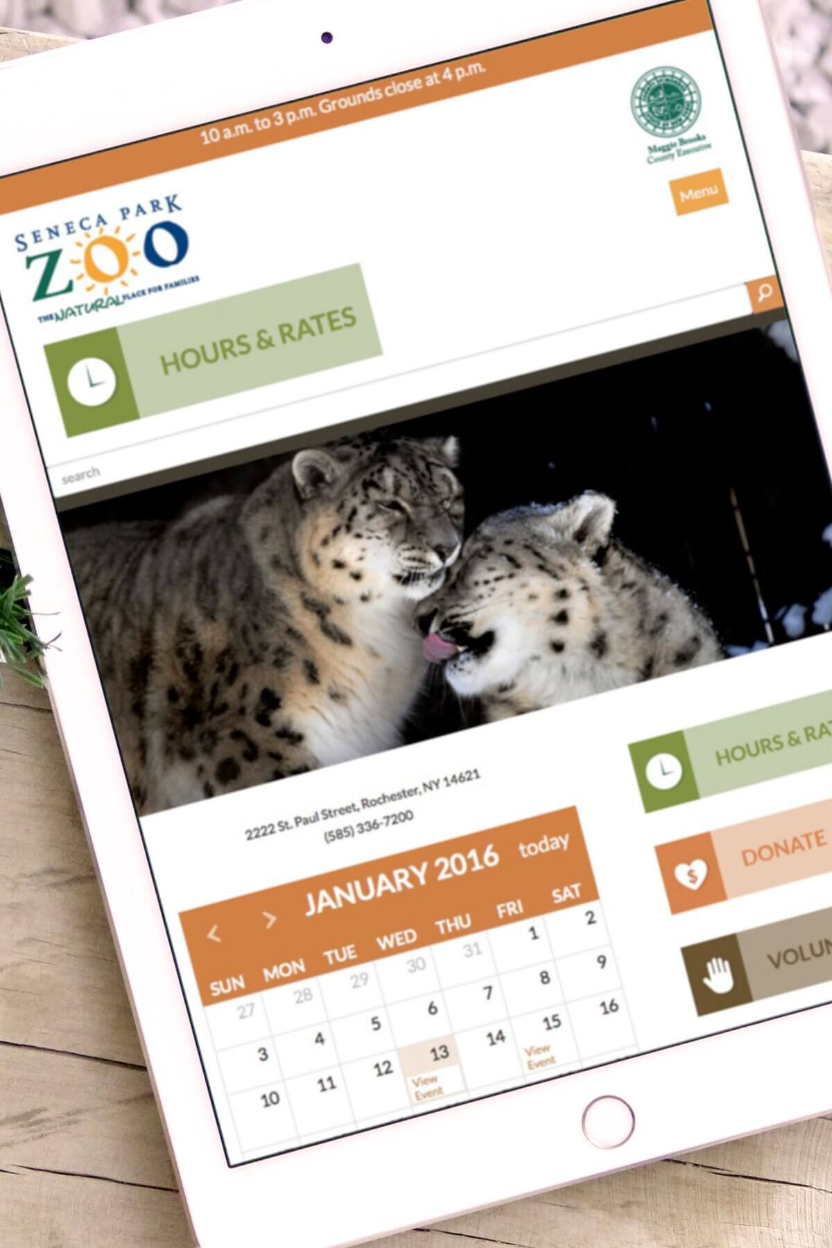 Home 29 web design examples
