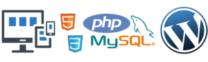 Custom Web Programming and Development custom web development
